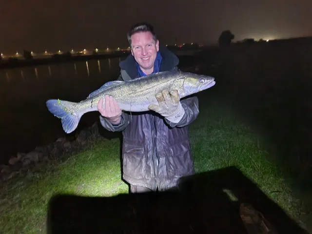 Zander