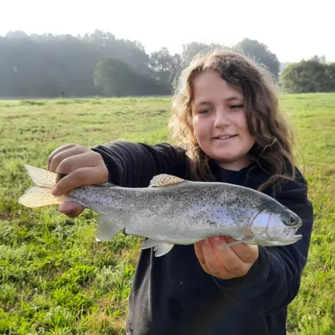 Regenbogenforelle