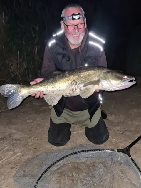 Zander