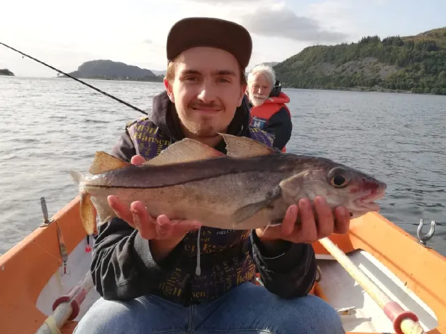 Schellfisch