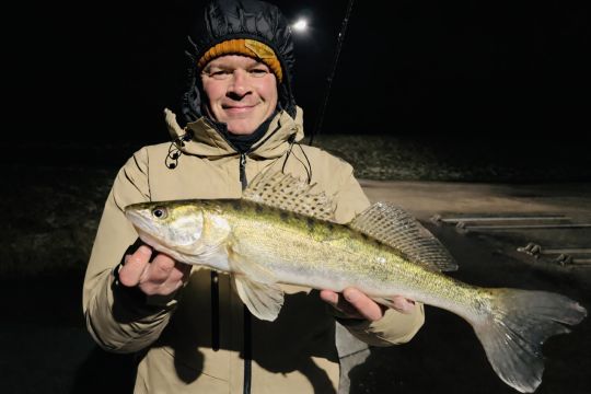 Zander
