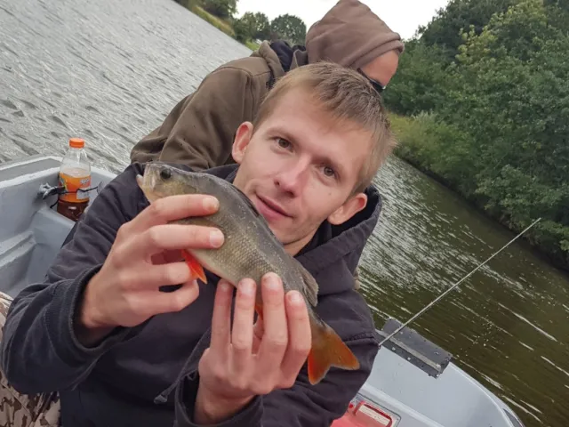Flussbarsch