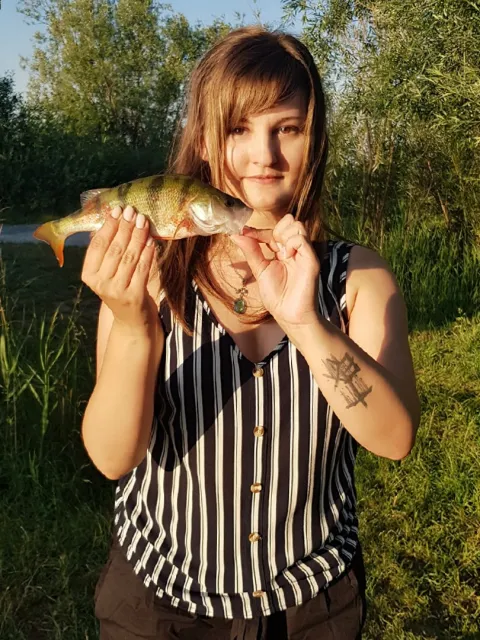 Flussbarsch