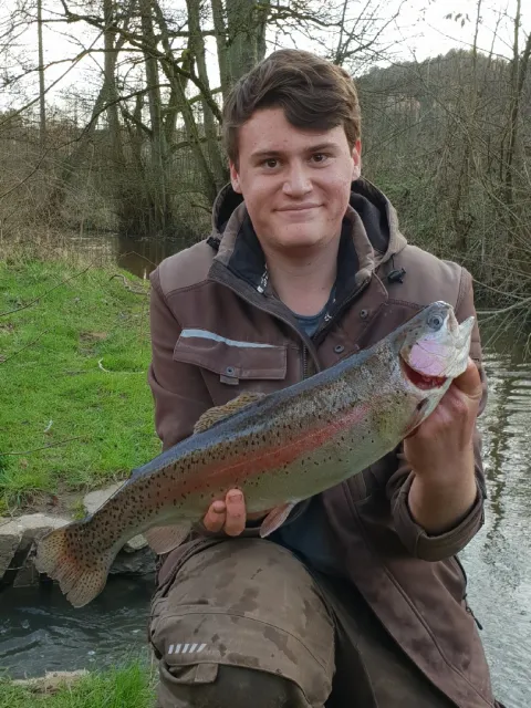 Regenbogenforelle