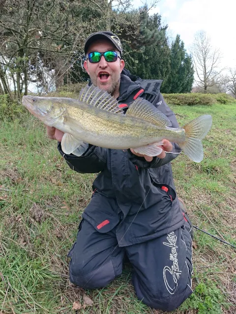 Zander