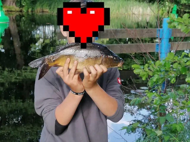 Karpfen