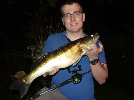 Zander