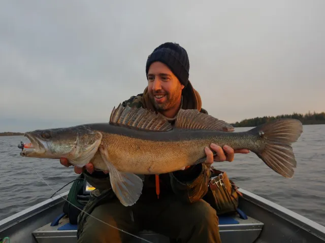 Zander