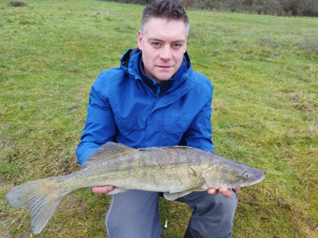 Zander