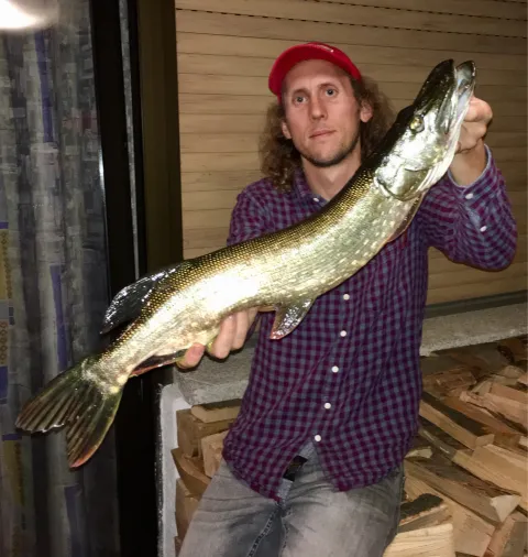 Hecht