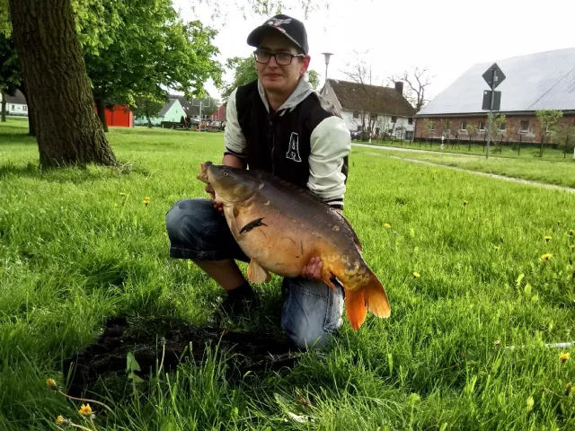 Karpfen