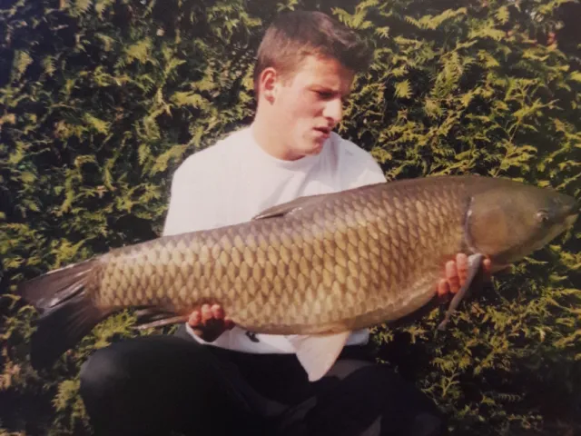 Graskarpfen