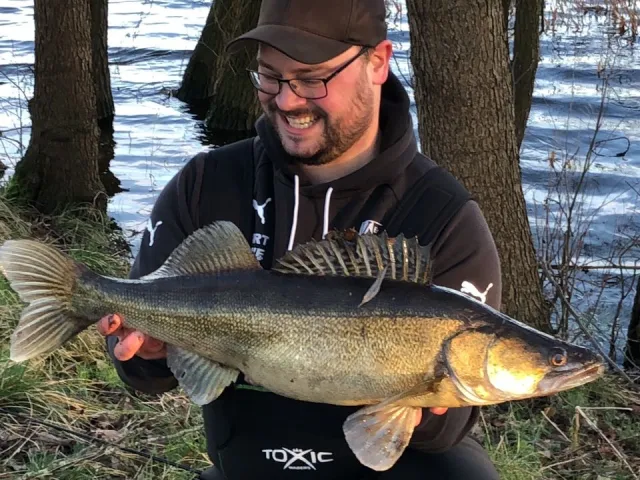 Zander