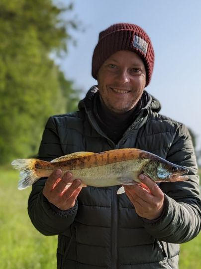 Zander