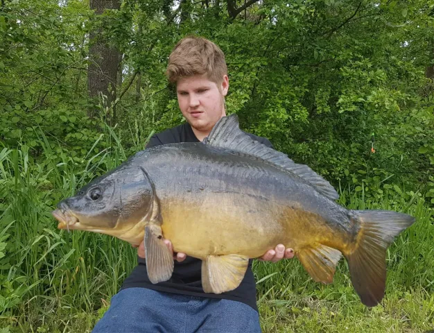 Karpfen