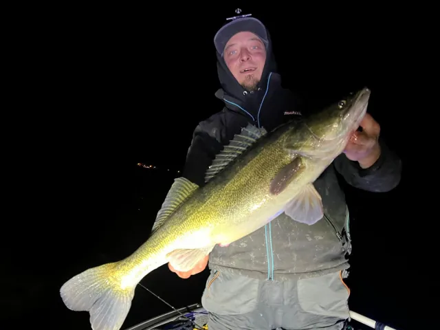Zander