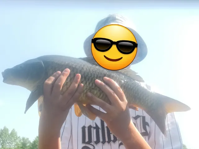 Karpfen