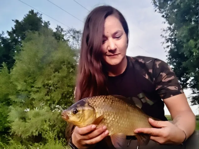 Giebel