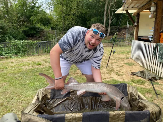 Stör