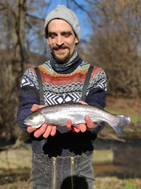 Regenbogenforelle
