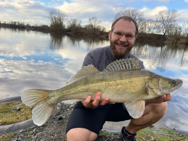 Zander