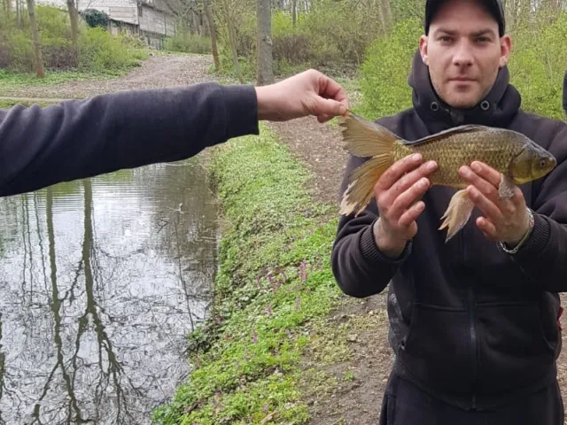 Giebel