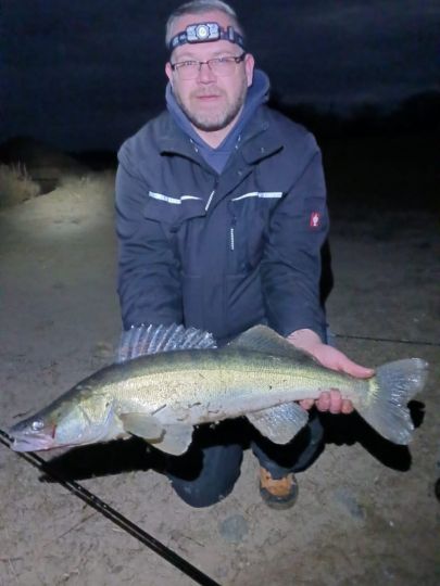 Zander