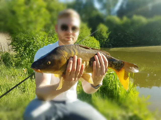 Karpfen