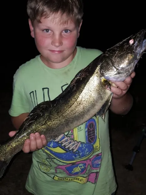 Zander
