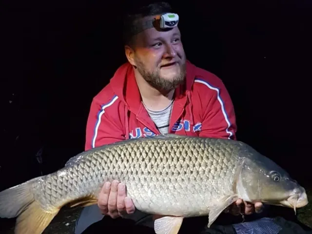 Karpfen