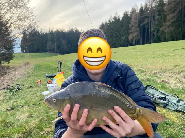 Karpfen