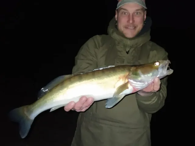 Zander