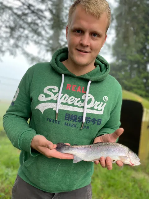 Regenbogenforelle