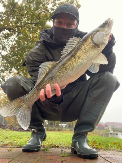 Zander