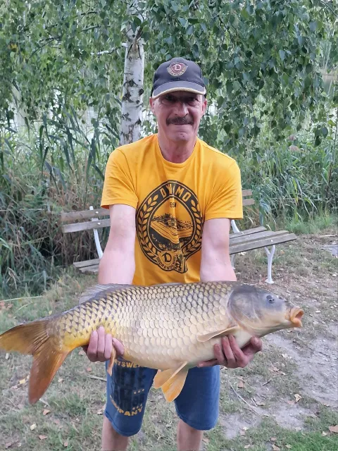 Karpfen