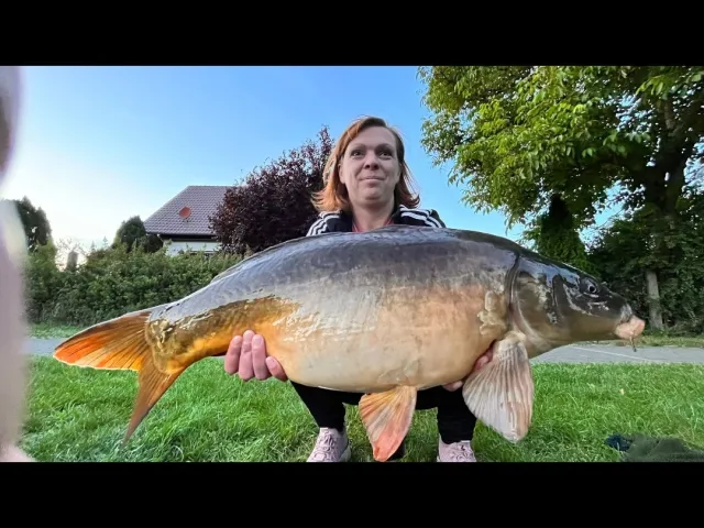 Karpfen