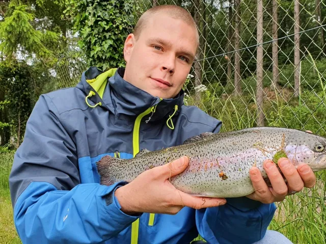 Regenbogenforelle