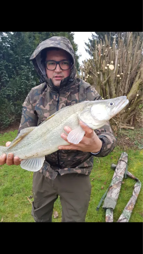 Zander