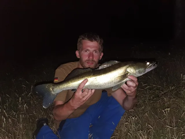 Zander