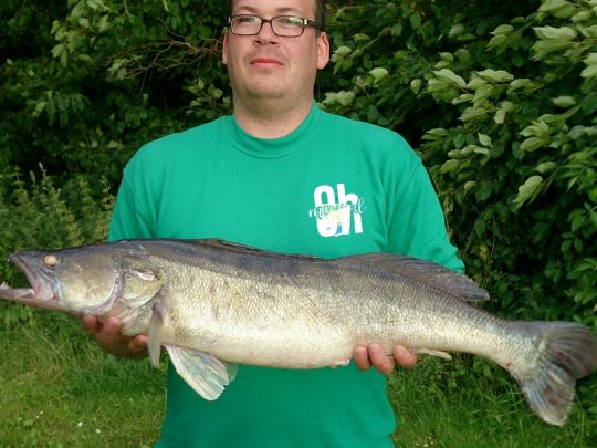 Zander