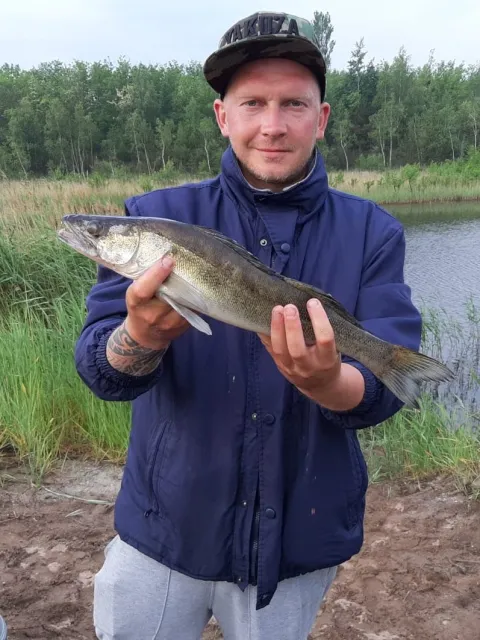 Zander