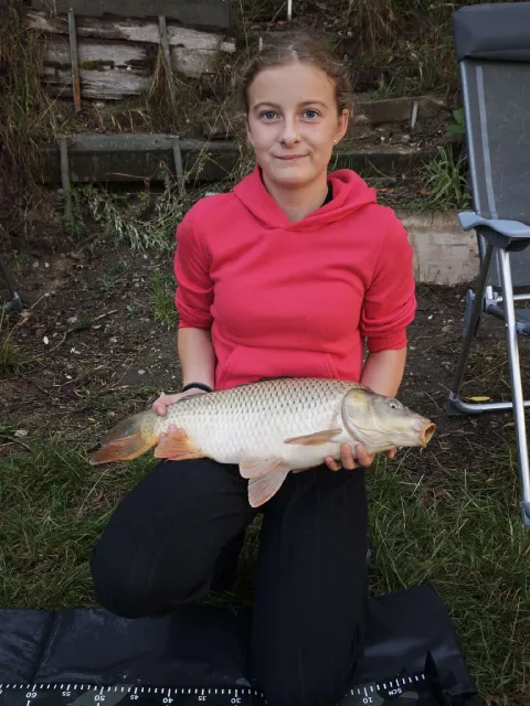Karpfen