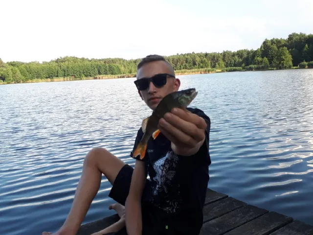 Flussbarsch