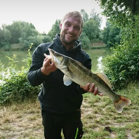 Zander