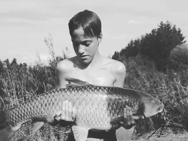 Graskarpfen