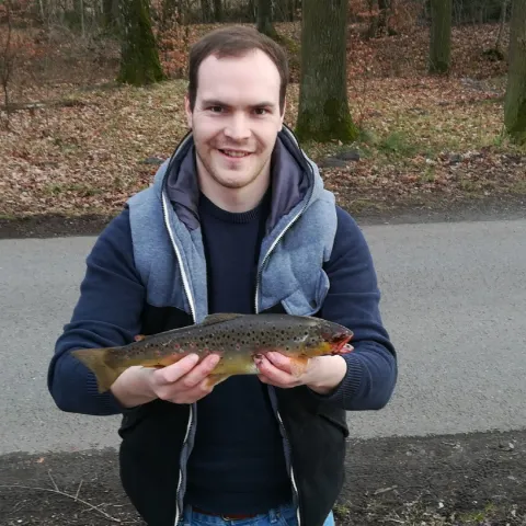 Bachforelle