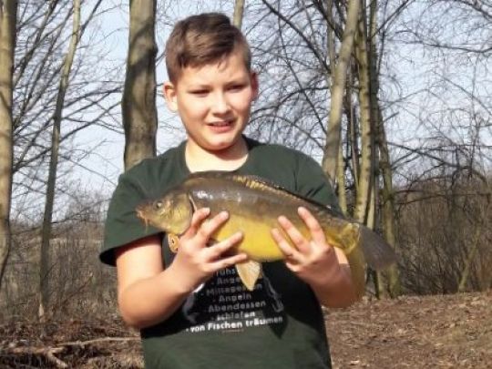 Karpfen