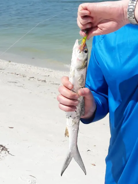 Sonstiges