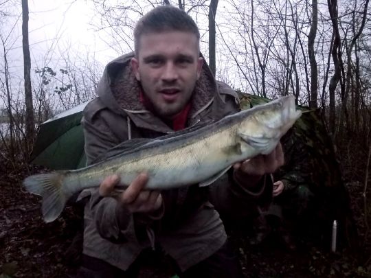 Zander