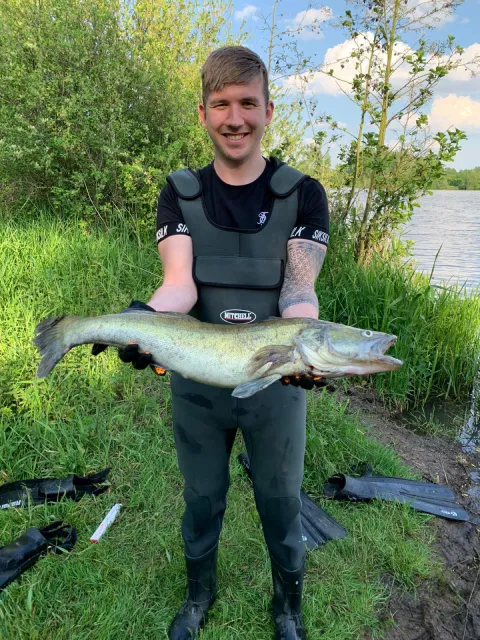 Zander